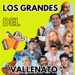 Festival Nacional de Música Andina Colombiana El Bajacocos en Campoalegre Huila