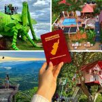 El impacto positivo de los cereales en la salud cerebral